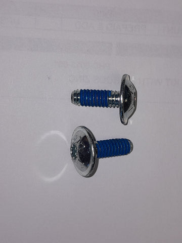 Mating Screw 1/4-20 X .750 "6 Lobe" Washer Head T30 Drive Mating Screw 1/4-20 X .750 "6 Lobe" Washer Head T30 Drive