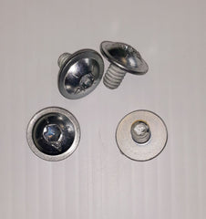 TRUSS WASHER HEAD SCREW TBLT2500437