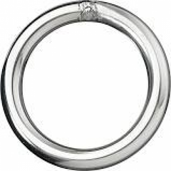 Weld Ring /Lash Ring Tdlr356449